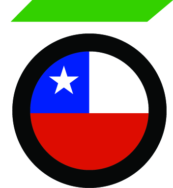 Comité de Túneles y Espacios Subterráneos de Chile (de la Corporación de Desarrollo Técnológico de la Cámara Chilena de la Construcción)