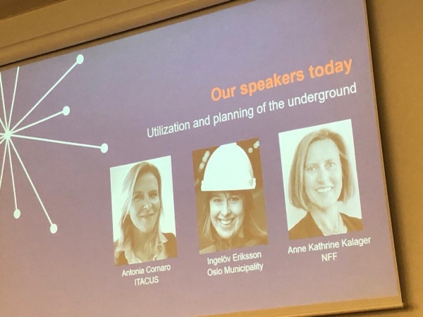 ITACUS co-chair presents at NFF evening forum in Oslo